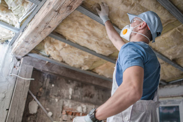 Trusted Fairfax, SC Insulation Contractor Experts