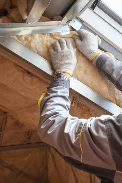 Best Insulation Maintenance and Repair in Fairfax, SC